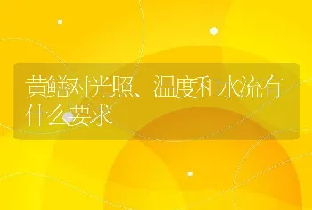 黄鳝对光照、温度和水流有什么要求