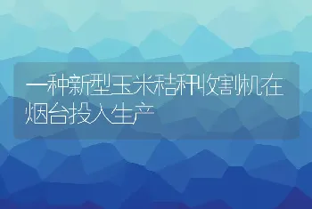 一种新型玉米秸秆收割机在烟台投入生产