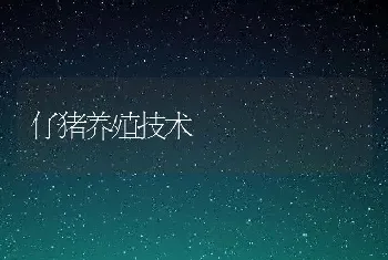 中国对虾的生物学特性