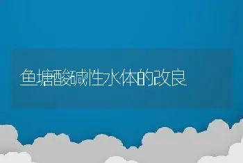 怎样鉴别鱼饲料质量