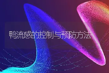 鸭流感的控制与预防方法