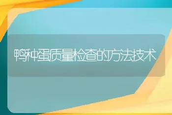 鸭种蛋质量检查的方法技术