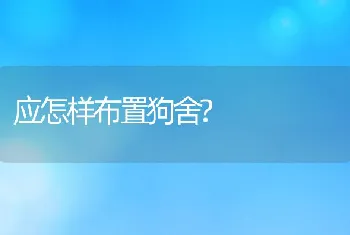 应怎样布置狗舍?