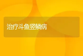 治疗斗鱼竖鳞病