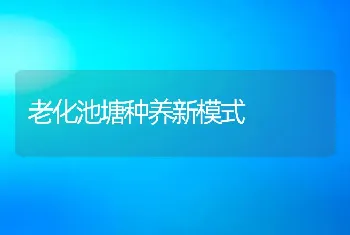 老化池塘种养新模式