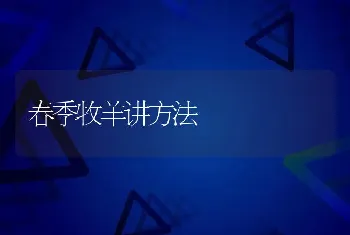 孔雀养殖“凤”头高昂