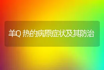 羊Q热的病原症状及其防治