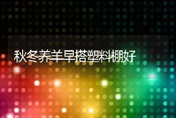 秋冬养羊早搭塑料棚好