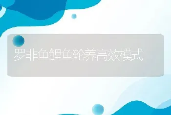 罗非鱼鲤鱼轮养高效模式