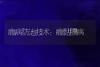 鹿病防治技术：鹿黏膜病