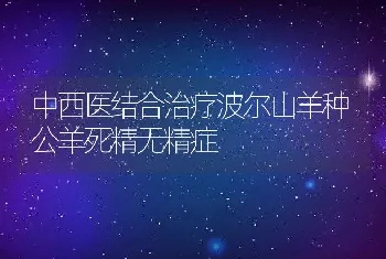 中西医结合治疗波尔山羊种公羊死精无精症