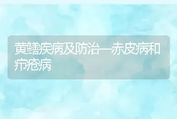 黄鳝疾病及防治―赤皮病和疖疮病