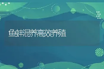 鱼蚌混养高效养殖