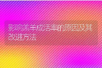 影响羔羊成活率的原因及其改进方法