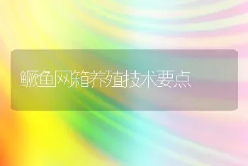 鳜鱼网箱养殖技术要点