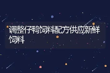 调整仔鸭饲料配方供应新鲜饲料