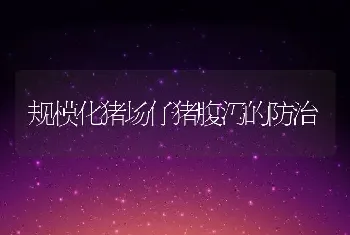 河蟹生长期关键管理技术