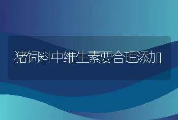 猪饲料中维生素要合理添加