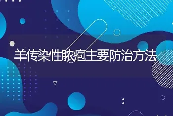 羊传染性脓疱主要防治方法