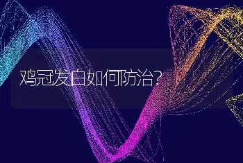 鸡冠发白如何防治？