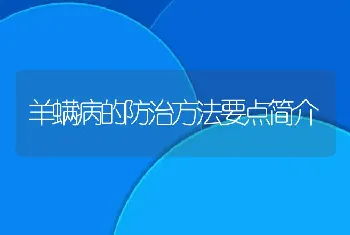 羊螨病的防治方法要点简介