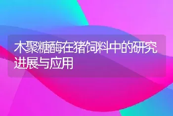 木聚糖酶在猪饲料中的研究进展与应用