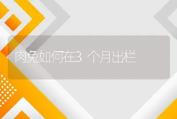 鱼病春不防　一年算白忙