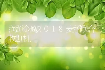 润源金鹰2018麦稻联合收割机