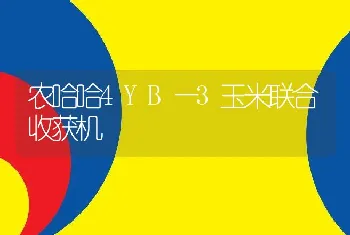 农哈哈4YB—3玉米联合收获机