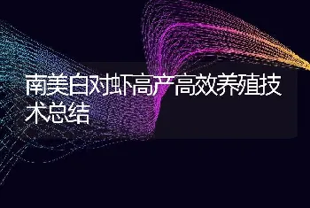 南美白对虾高产高效养殖技术总结