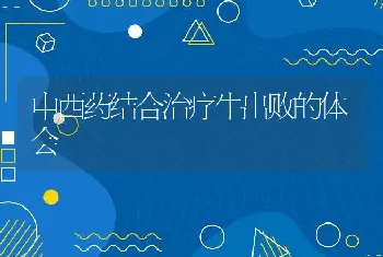 中西药结合治疗牛出败的体会