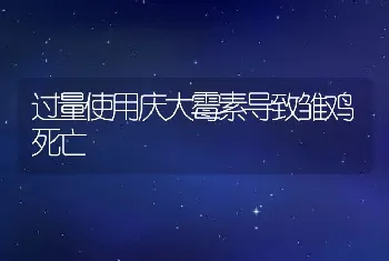 狗狗中暑了该怎么办？