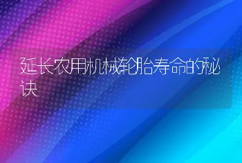 延长农用机械轮胎寿命的秘诀