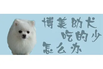 博美幼犬吃的少怎么办