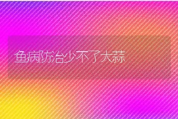 鱼病防治少不了大蒜