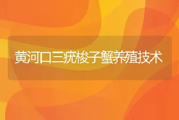 黄河口三疣梭子蟹养殖技术