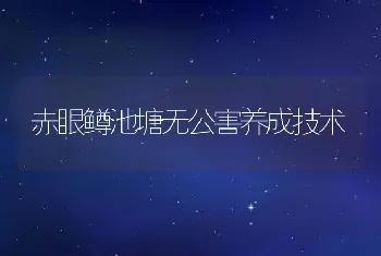 赤眼鳟池塘无公害养成技术