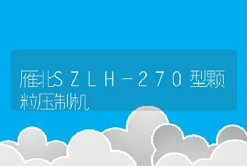 雁北SZLH-270型颗粒压制机