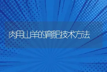 肉用山羊的育肥技术方法