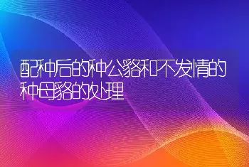 配种后的种公貉和不发情的种母貉的处理