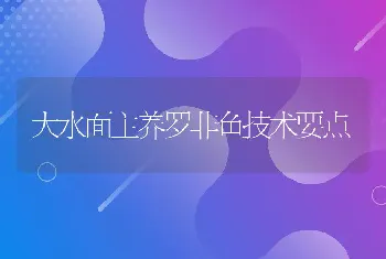 大水面主养罗非鱼技术要点