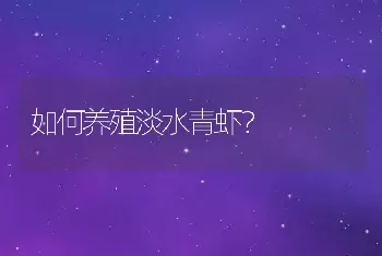 如何养殖淡水青虾？