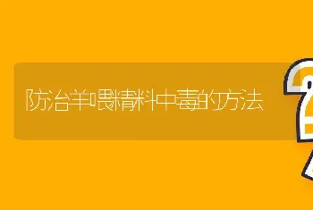 防治羊喂精料中毒的方法