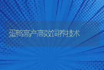 蛋鸭高产高效饲养技术