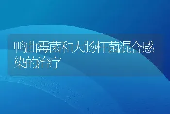 鸭曲霉菌和大肠杆菌混合感染的治疗