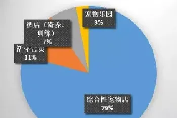 大众点评：北京宠物店竞争惨烈，破5000家，活体、连锁化、场景运营是关键