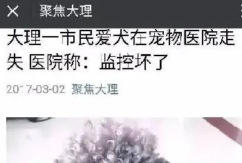 网友分析“大理宠物医院丢狗”事件，愿小五郎早日回家