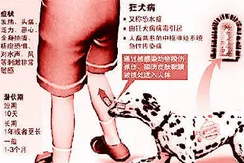 被狗咬很长时间以后打疫苗管用吗？