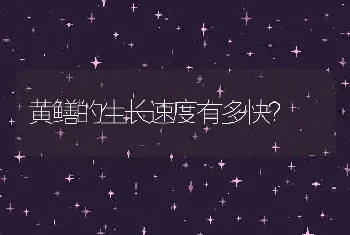 黄鳝的生长速度有多快？