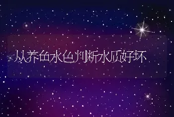 从养鱼水色判断水质好坏